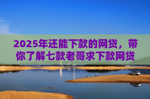2025年还能下款的网贷，带你了解七款老哥求下款网贷口子