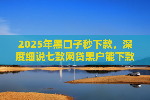 2025年黑口子秒下款，深度细说七款网贷黑户能下款口子