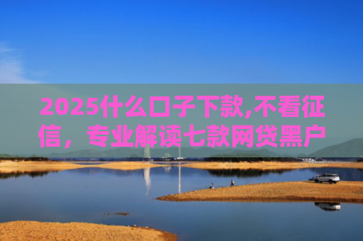 2025什么口子下款,不看征信，专业解读七款网贷黑户口子下款口子