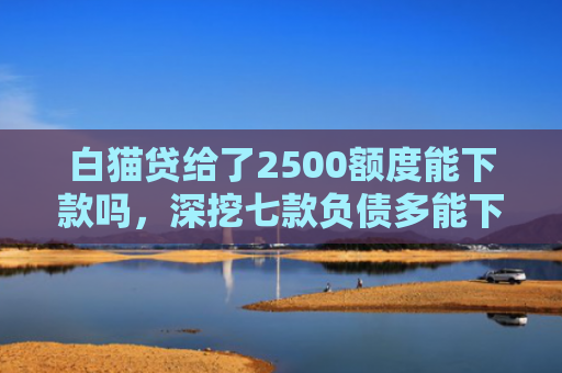 白猫贷给了2500额度能下款吗，深挖七款负债多能下款的网贷口子