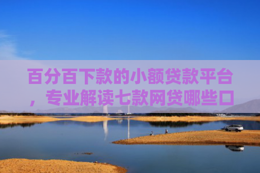 百分百下款的小额贷款平台，专业解读七款网贷哪些口子下款额度大