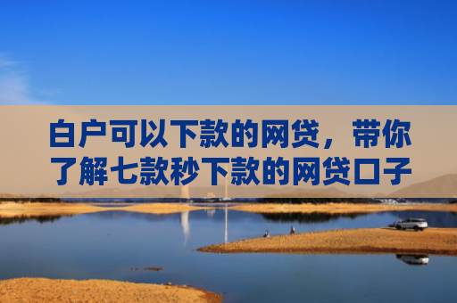 白户可以下款的网贷，带你了解七款秒下款的网贷口子分享