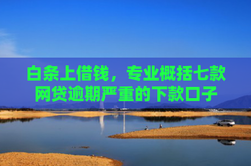 白条上借钱，专业概括七款网贷逾期严重的下款口子