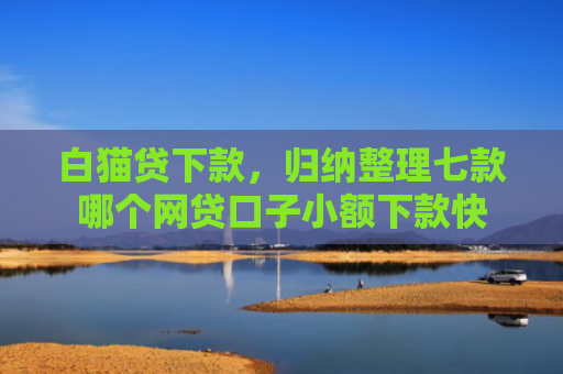 白猫贷下款，归纳整理七款哪个网贷口子小额下款快