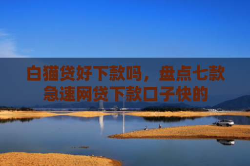 白猫贷好下款吗，盘点七款急速网贷下款口子快的