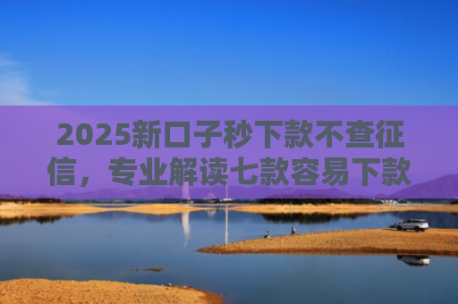 2025新口子秒下款不查征信，专业解读七款容易下款的大额网贷口子