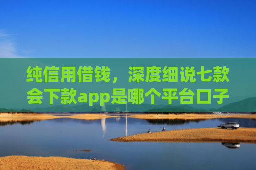纯信用借钱，深度细说七款会下款app是哪个平台口子进