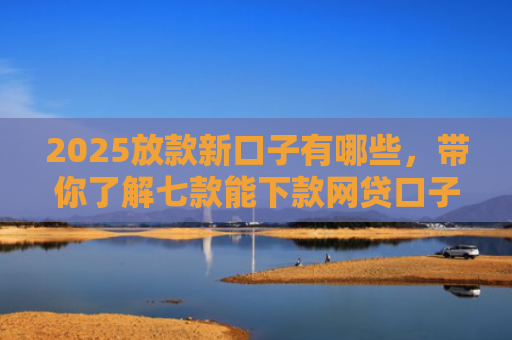 2025放款新口子有哪些，带你了解七款能下款网贷口子大全