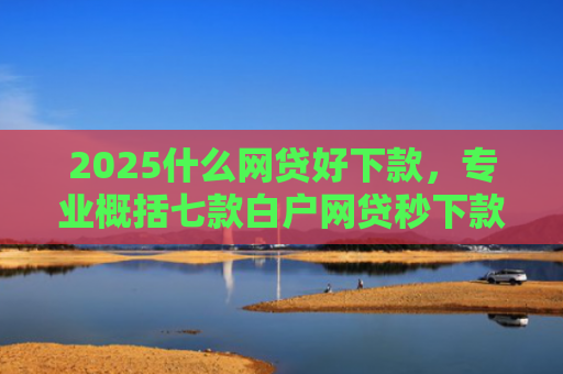 2025什么网贷好下款，专业概括七款白户网贷秒下款口子