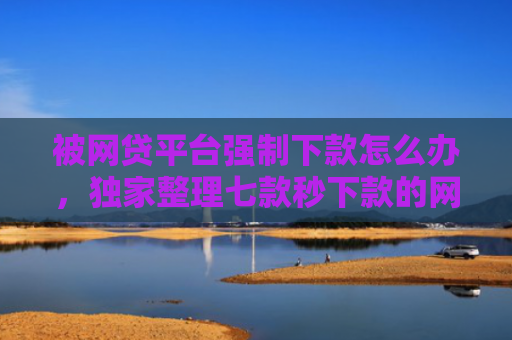 被网贷平台强制下款怎么办，独家整理七款秒下款的网贷口子叫什么