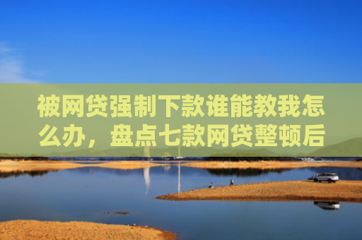 被网贷强制下款谁能教我怎么办，盘点七款网贷整顿后能下款的口子