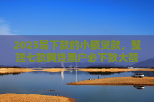 2025易下款的小额贷款，整理七款网贷黑户必下款大额口子