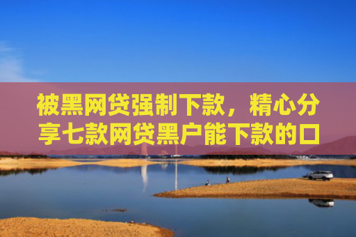 被黑网贷强制下款，精心分享七款网贷黑户能下款的口子6