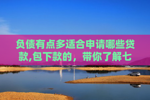 负债有点多适合申请哪些贷款,包下款的，带你了解七款网贷黑户怎么下款