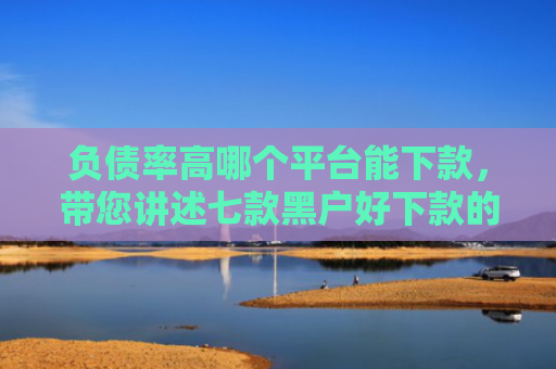 负债率高哪个平台能下款，带您讲述七款黑户好下款的网贷