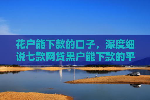花户能下款的口子，深度细说七款网贷黑户能下款的平台