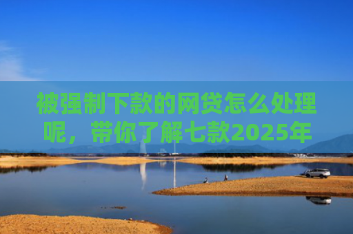 被强制下款的网贷怎么处理呢，带你了解七款2025年容易下款的网贷口子