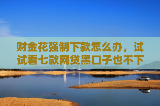 财金花强制下款怎么办，试试看七款网贷黑口子也不下款 是为什么