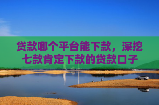 贷款哪个平台能下款，深挖七款肯定下款的贷款口子