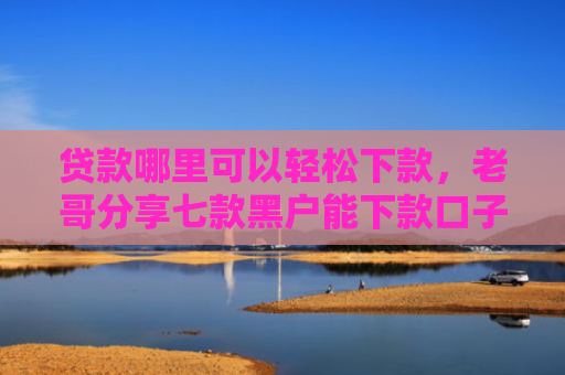 贷款哪里可以轻松下款，老哥分享七款黑户能下款口子贷款吗