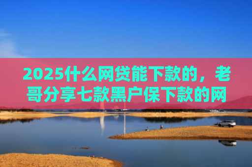 2025什么网贷能下款的，老哥分享七款黑户保下款的网贷口子