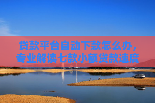 贷款平台自动下款怎么办，专业解读七款小额贷款速度下款口子