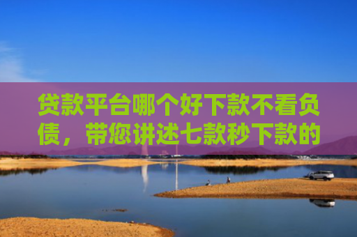 贷款平台哪个好下款不看负债，带您讲述七款秒下款的贷款口子黑户