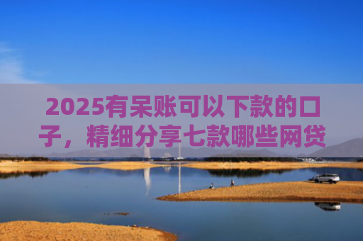 2025有呆账可以下款的口子，精细分享七款哪些网贷口子好下款的