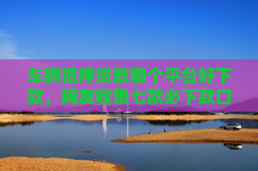 车辆抵押贷款哪个平台好下款，网友收集七款必下款口子平台2025