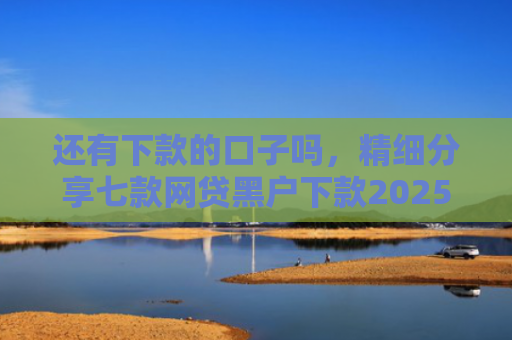 还有下款的口子吗，精细分享七款网贷黑户下款2025