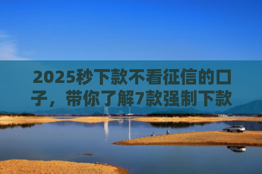 2025秒下款不看征信的口子，带你了解7款强制下款的网贷口子