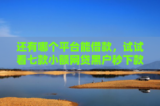 还有哪个平台能借款，试试看七款小额网贷黑户秒下款