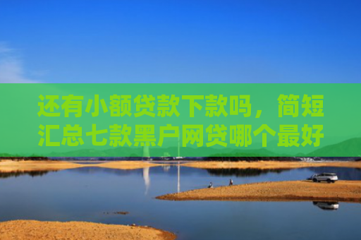 还有小额贷款下款吗，简短汇总七款黑户网贷哪个最好下款