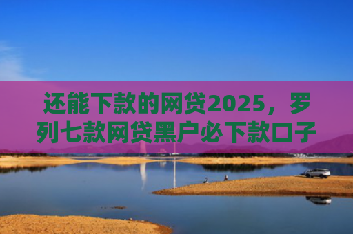 还能下款的网贷2025，罗列七款网贷黑户必下款口子