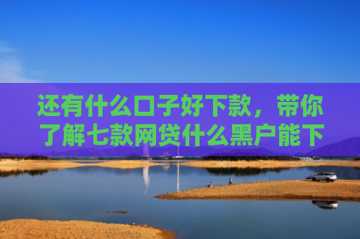 还有什么口子好下款，带你了解七款网贷什么黑户能下款