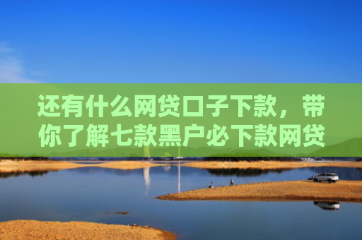 还有什么网贷口子下款，带你了解七款黑户必下款网贷口子