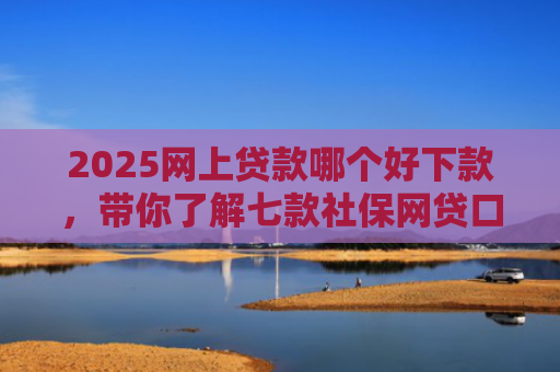 2025网上贷款哪个好下款，带你了解七款社保网贷口子那个下款快