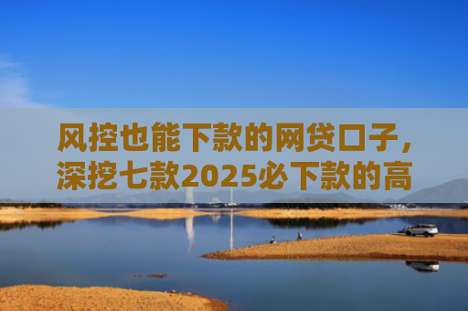 风控也能下款的网贷口子，深挖七款2025必下款的高炮口子系列大全APP