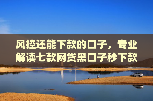 风控还能下款的口子，专业解读七款网贷黑口子秒下款app2025