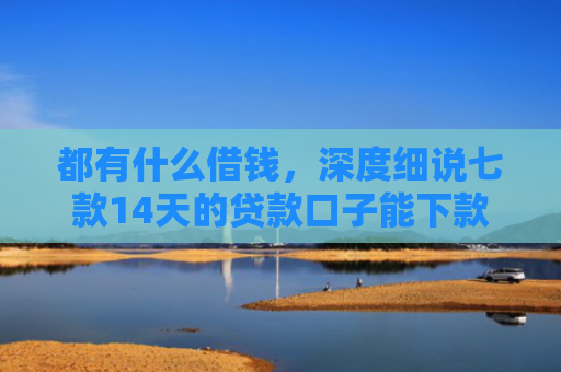 都有什么借钱，深度细说七款14天的贷款口子能下款吗