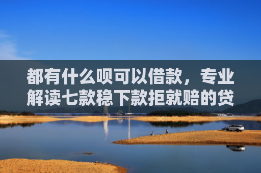 都有什么呗可以借款，专业解读七款稳下款拒就赔的贷款口子