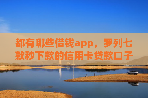 都有哪些借钱app，罗列七款秒下款的信用卡贷款口子