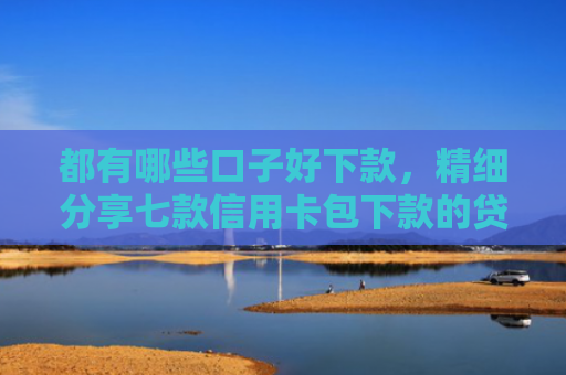 都有哪些口子好下款，精细分享七款信用卡包下款的贷款口子