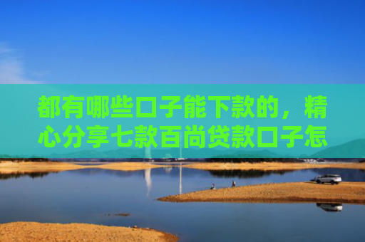 都有哪些口子能下款的，精心分享七款百尚贷款口子怎么样下款