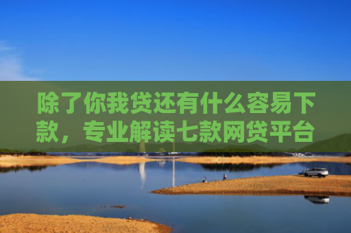 除了你我贷还有什么容易下款，专业解读七款网贷平台好下款的口子