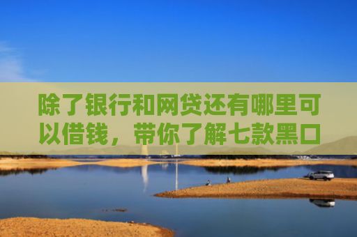 除了银行和网贷还有哪里可以借钱，带你了解七款黑口子可以下款的平台