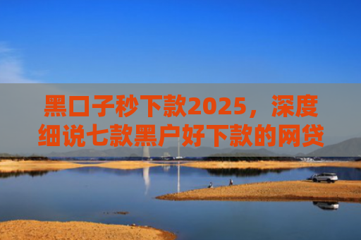 黑口子秒下款2025，深度细说七款黑户好下款的网贷平台