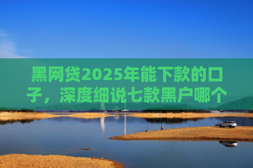 黑网贷2025年能下款的口子，深度细说七款黑户哪个网贷最容易下款