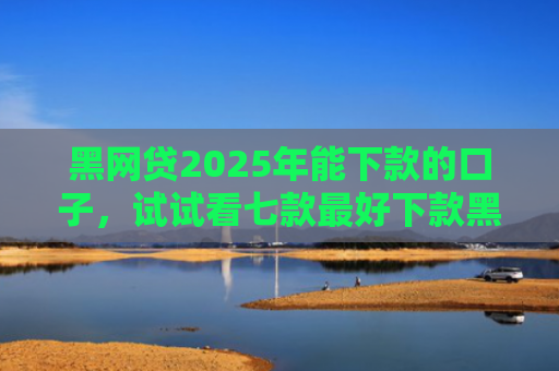 黑网贷2025年能下款的口子，试试看七款最好下款黑户的网贷口子