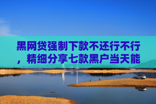 黑网贷强制下款不还行不行，精细分享七款黑户当天能下款的网贷